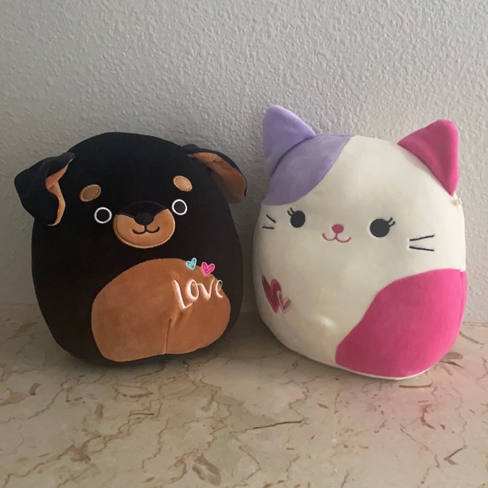 Mateo and Tiffany Squishmallows Valentine’s Day